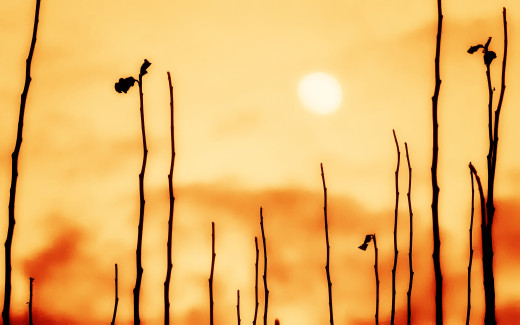 670903 (a): :2560x1600